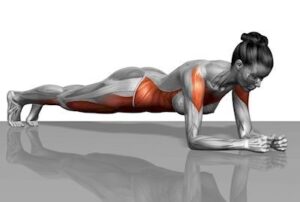 Do Planks Every day