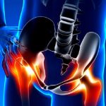 What are Hip Flexors?