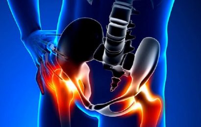 What are Hip Flexors?