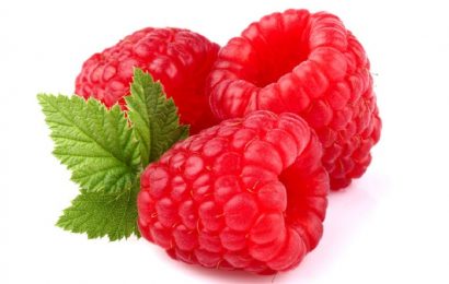 Health Benefits of Raspberry